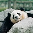 BEST ZOO &amp; AQUARIUM