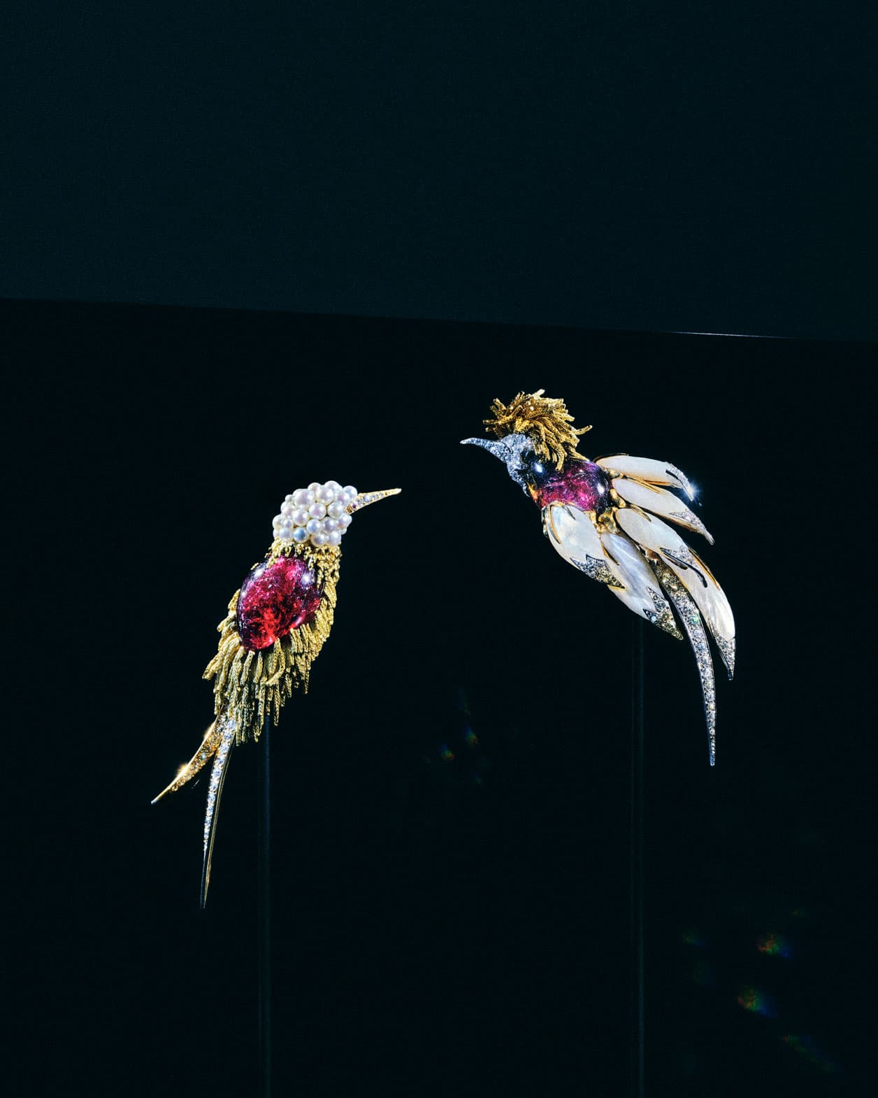 鳥とジュエリーのファンタジックな物語。