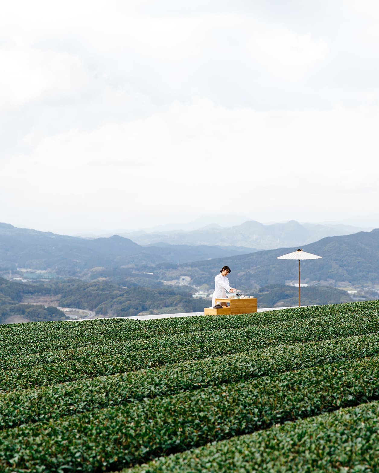 【佐賀シティガイド】日本近代建築の父の生まれの地。