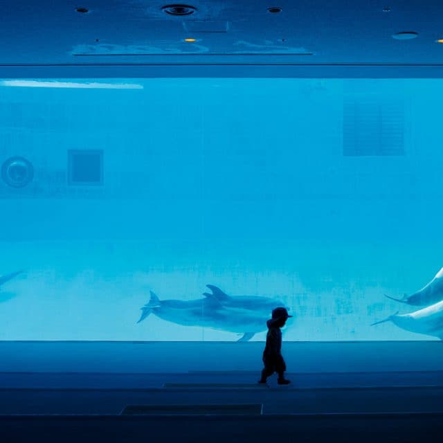 BEST Zoo &amp; Aquarium