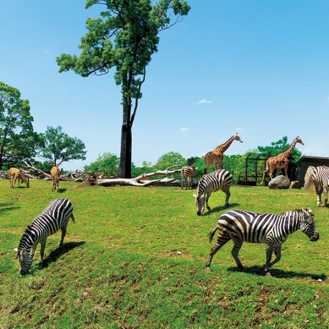 BEST Zoo &amp; Aquarium