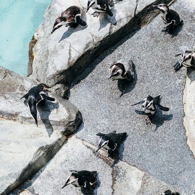 BEST Zoo &amp; Aquarium