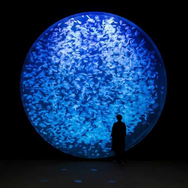 BEST Zoo &amp; Aquarium