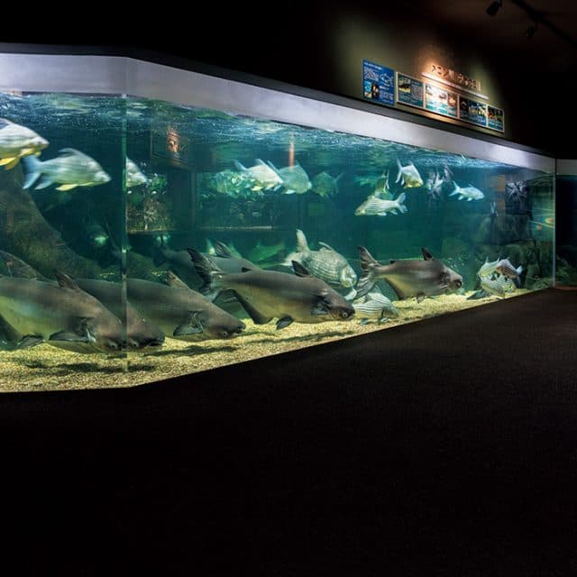 BEST Zoo &amp; Aquarium