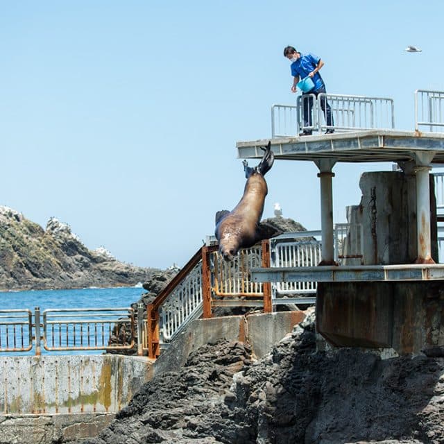 BEST Zoo &amp; Aquarium