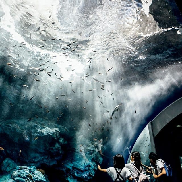 BEST Zoo &amp; Aquarium