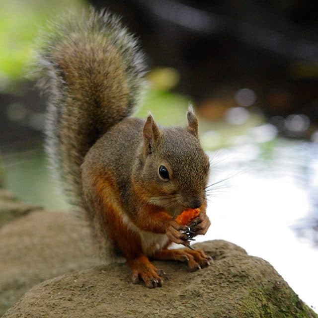 BEST Zoo &amp; Aquarium