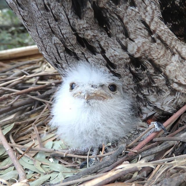 BEST Zoo &amp; Aquarium