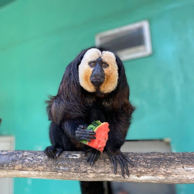 BEST Zoo &amp; Aquarium