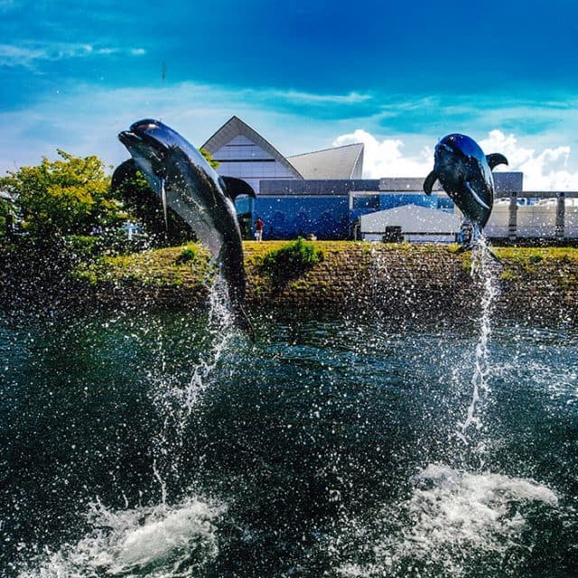 BEST Zoo &amp; Aquarium