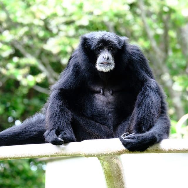 BEST Zoo &amp; Aquarium