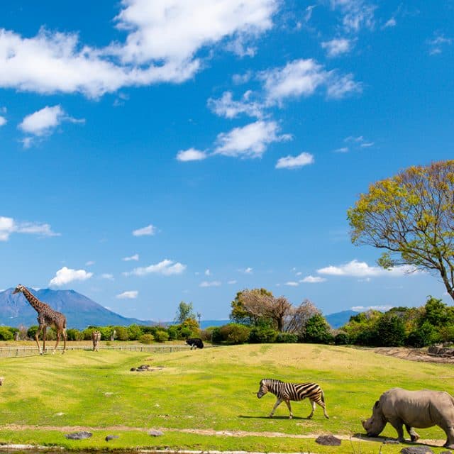 BEST Zoo &amp; Aquarium