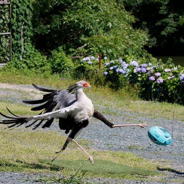 BEST Zoo &amp; Aquarium