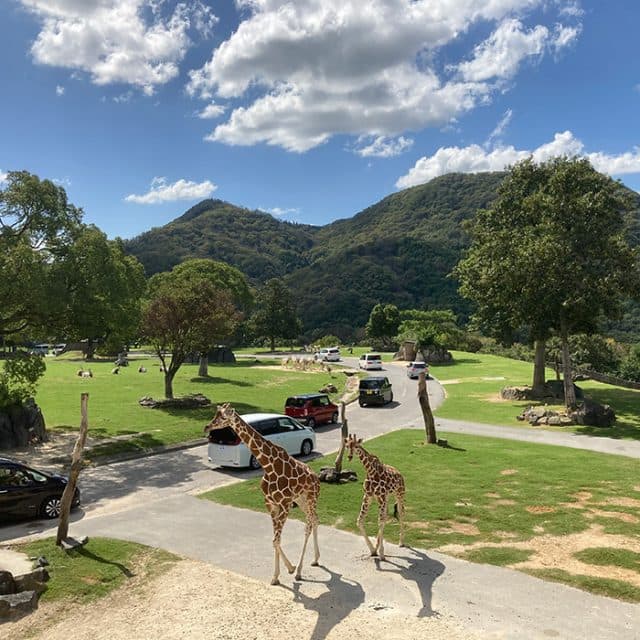 BEST Zoo &amp; Aquarium