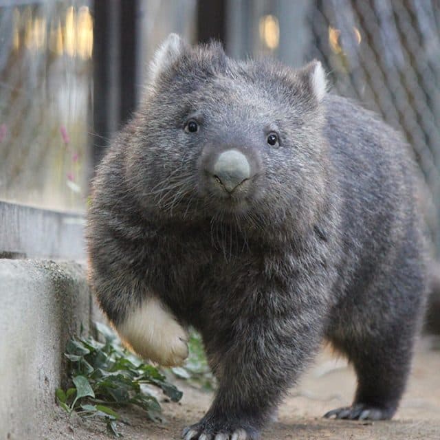 BEST Zoo &amp; Aquarium