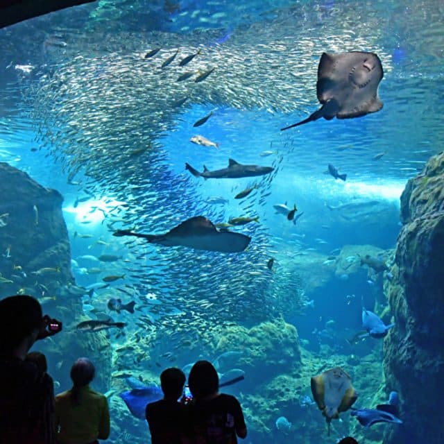 BEST Zoo &amp; Aquarium