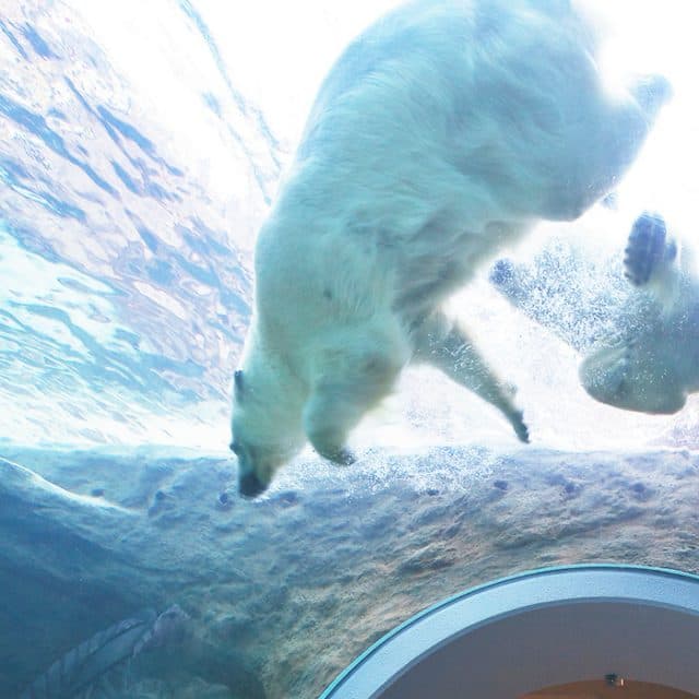 BEST Zoo &amp; Aquarium