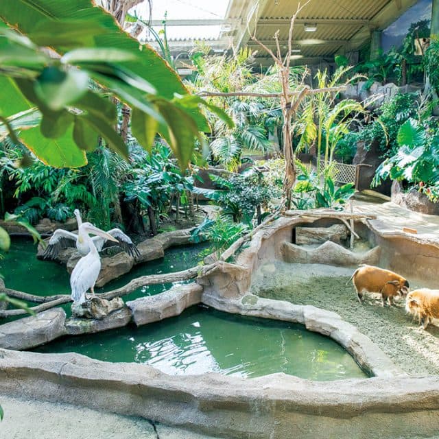 BEST Zoo &amp; Aquarium
