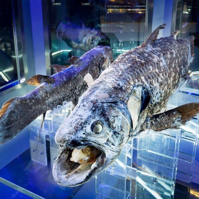 BEST Zoo &amp; Aquarium