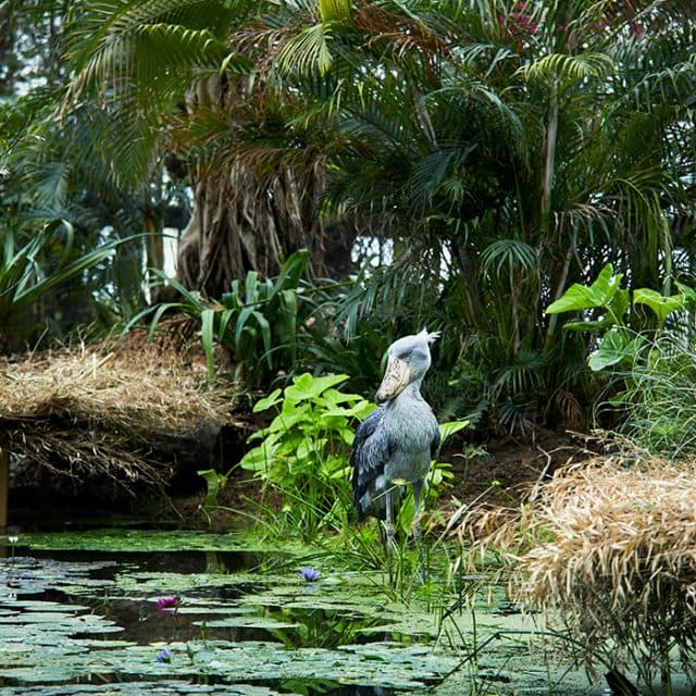 BEST Zoo &amp; Aquarium