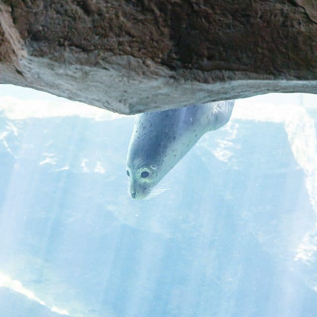 BEST Zoo &amp; Aquarium