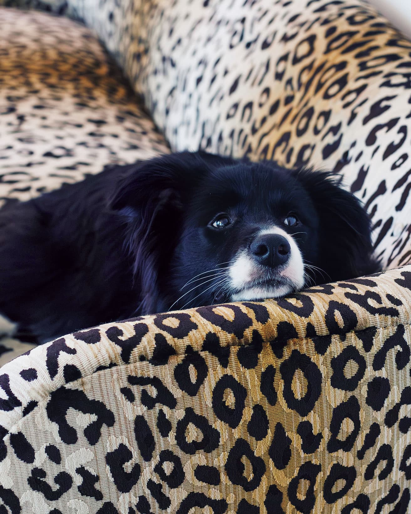 ソフィさんの仕事中はこんな体勢でスタンバイ。