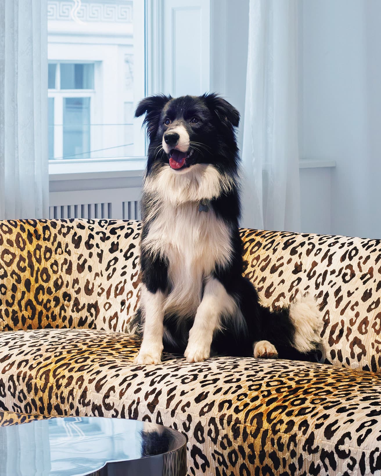 建築家カイ・ゴットロブがデザインしたソファがお気に入り。