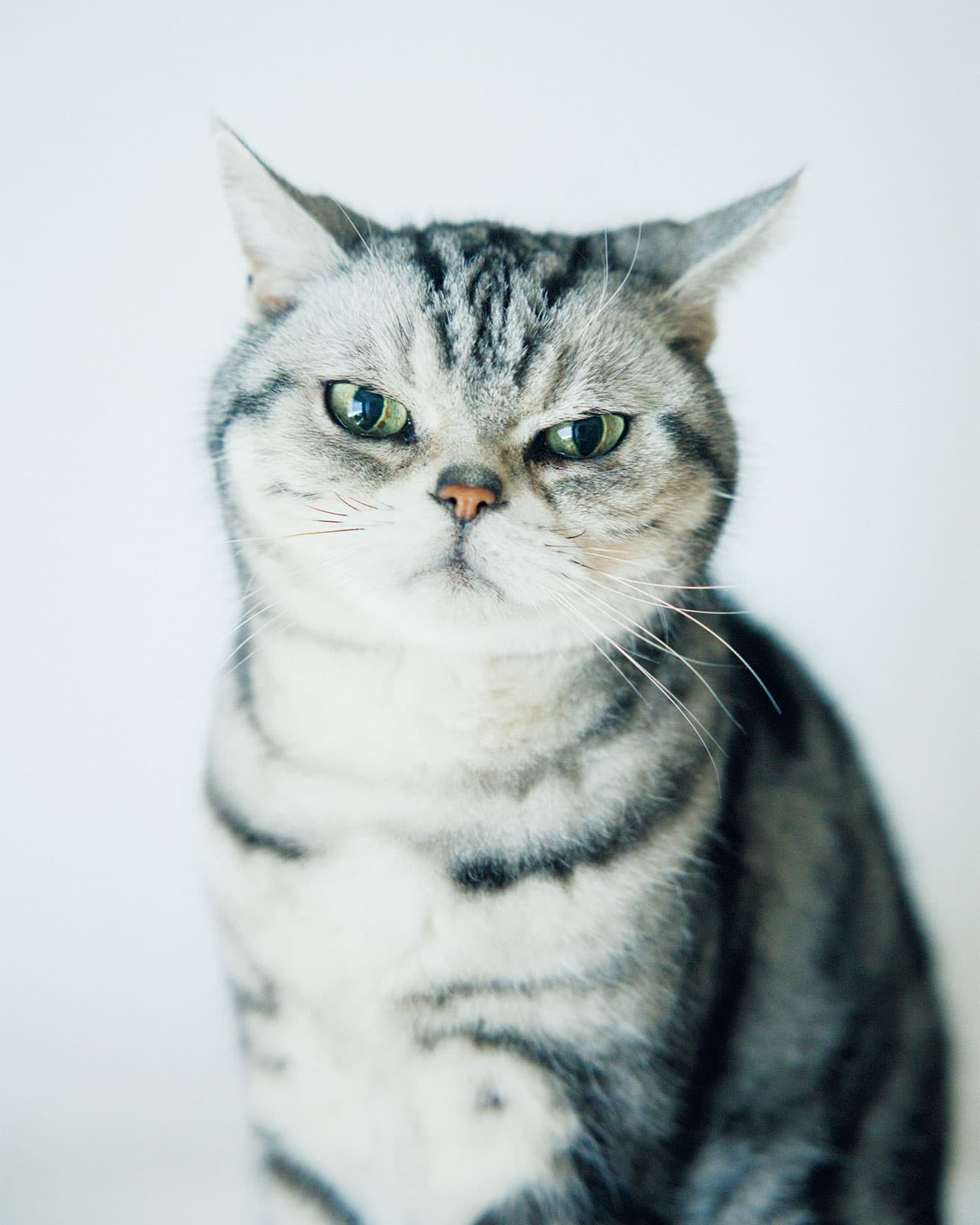 カメラを構えても嫌がることなく、いつもの顔で。「正面から見るとアイスのビエネッタのような模様に見えます」。