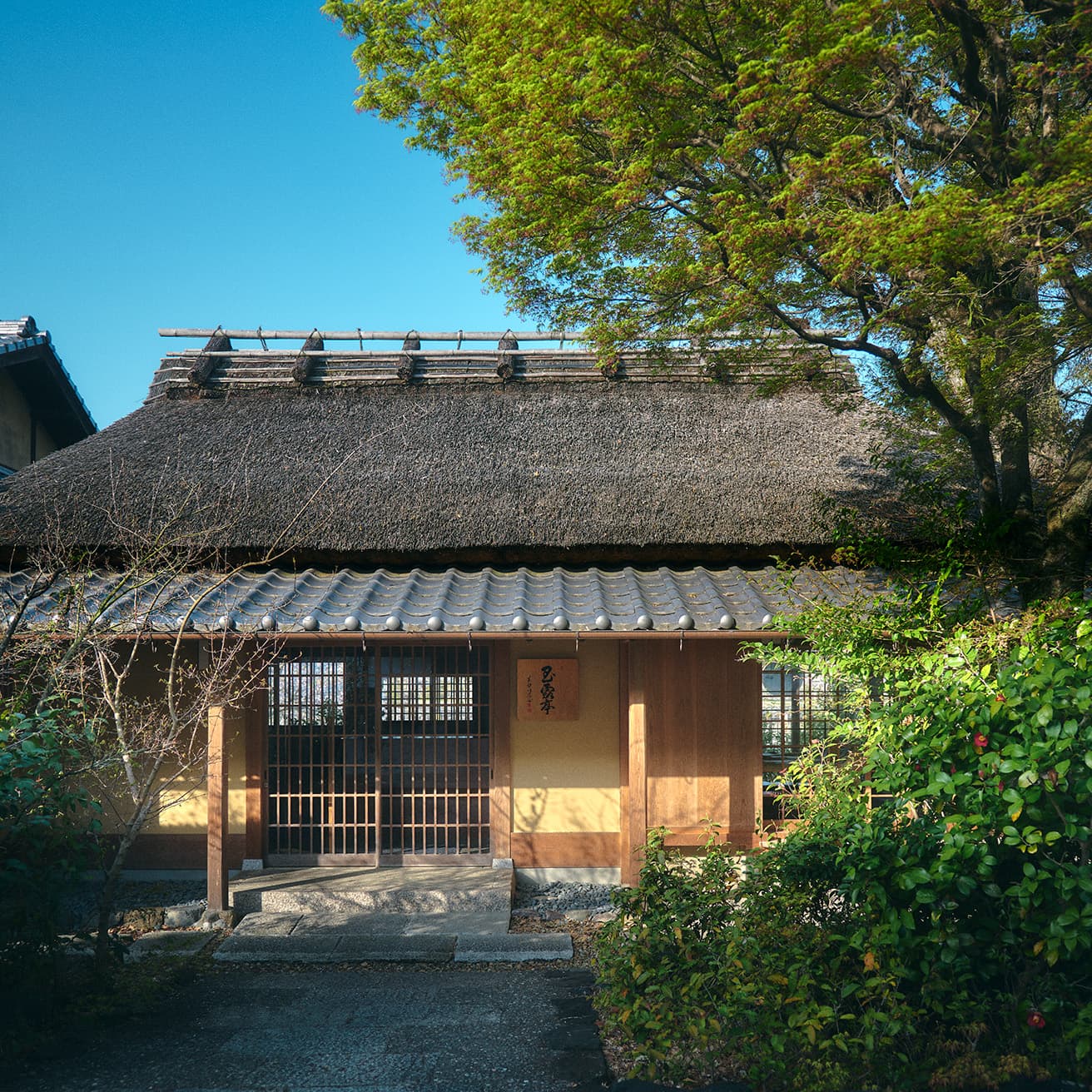 宇治市の福寿園〈宇治茶工房〉の敷地にある茅葺き屋根の食事処「玉露亭」。玉露の茶葉を混ぜ込んだおにぎりや玉露の天ぷらなどを詰めた竹かご膳（2,530円）が人気。宇治茶の中でも最上の「玉露」を使ったお茶料理やお茶の天ぷら、玉露パフェなどのスイーツも味わえる。●京都府宇治市宇治山田10 TEL 050 3152 2930。10時〜17時。不定休。