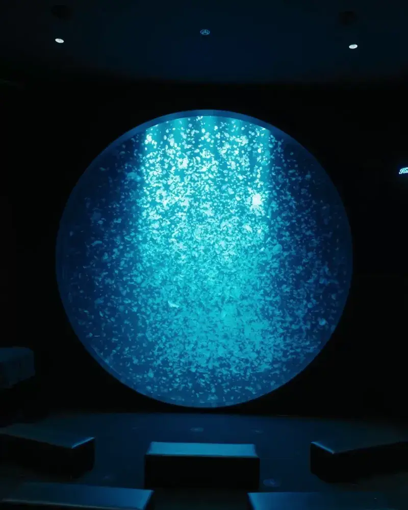 クラゲ世界一の水族館、〈東北エプソンアクアリウムかもすい〉がリニューアル。【最新号ちょい見せ】