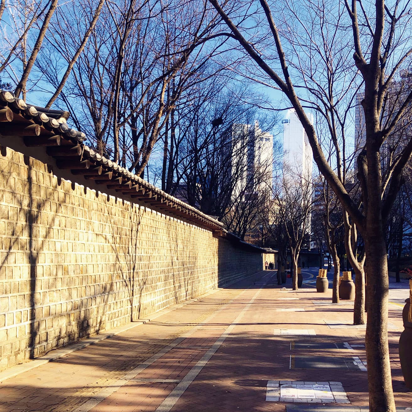 〈徳寿宮〉。宮内にカフェがあったり美術館があったりと魅力的だが、数々の韓国ドラマ（たとえば『トッケビ』）でもロケ地として使われている塀に沿って、石畳の道を歩くのが好きだ。四季それぞれの美しさの中でどの季節が好きかは人によるだろうけれど、ぼくは街路樹の葉が落ちて幹と枝になっている冬が好きだ。