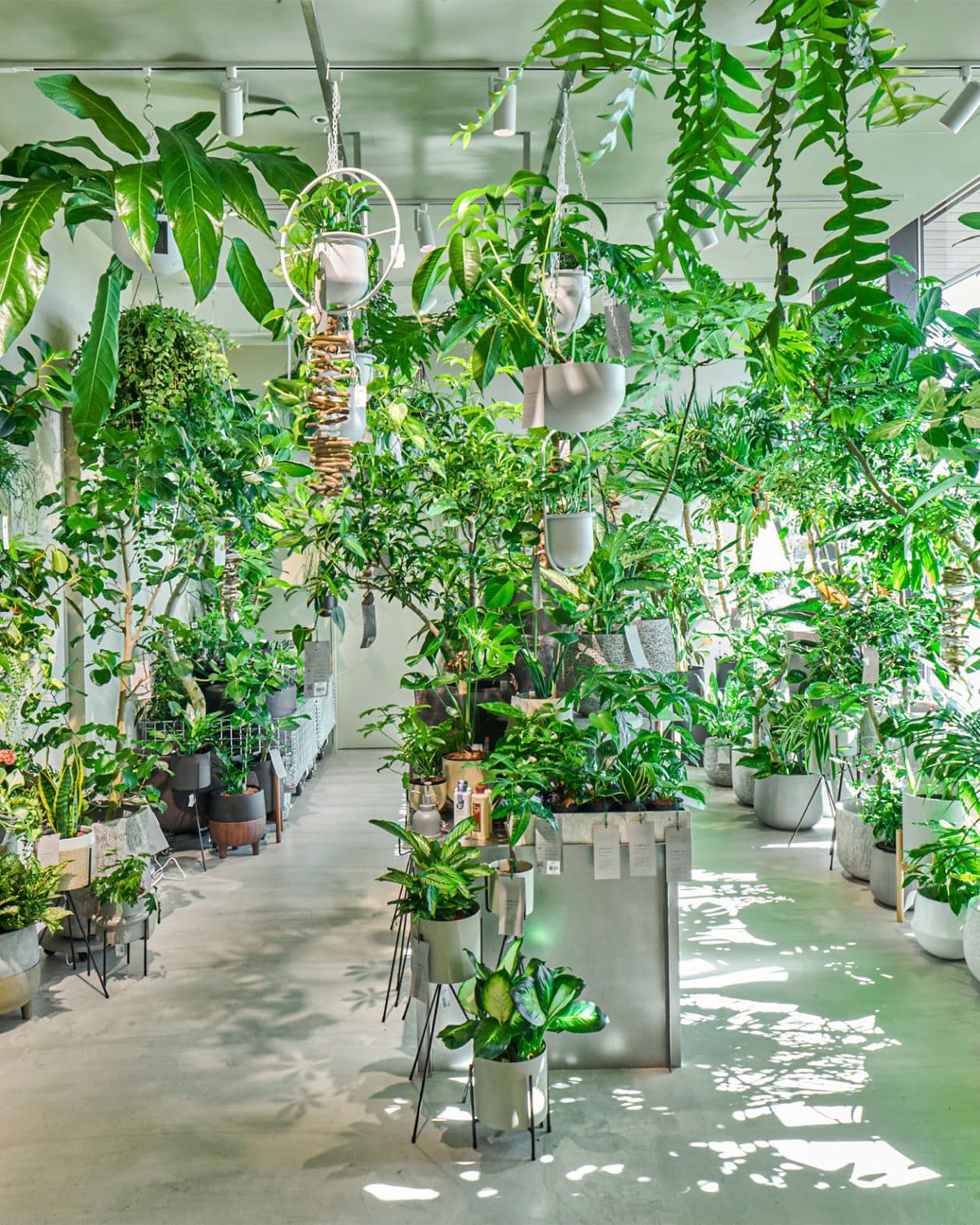 自由が丘の新施設内に現れた植物園のようなオアシス。〈アクタス〉がグリーンとカフェの複合店をオープン。