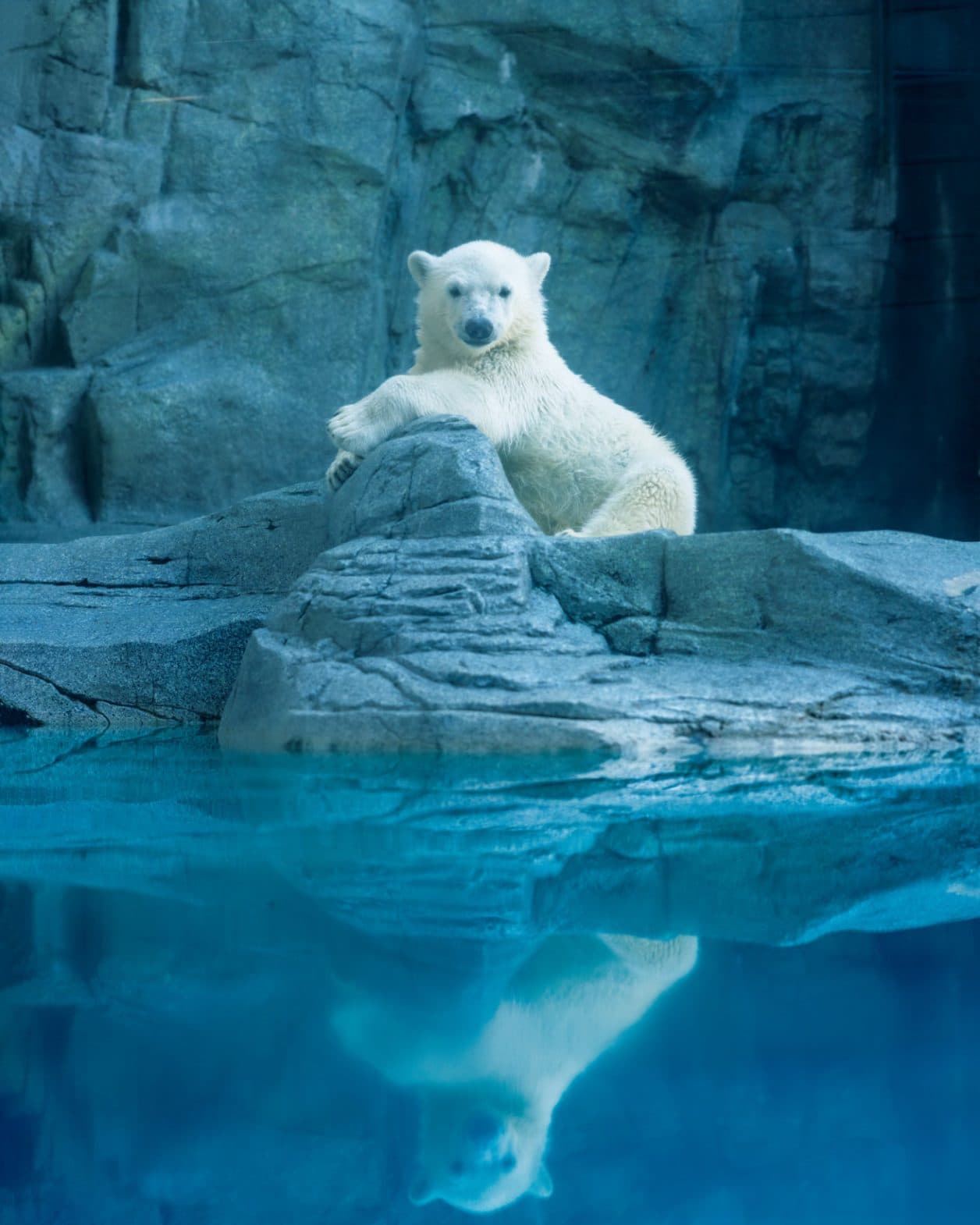 デビューしたてのモモ太に会いに、〈男鹿水族館GAO〉へ。【最新号ちょい見せ】
