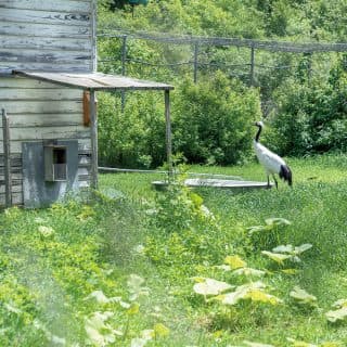 釧路市動物園
