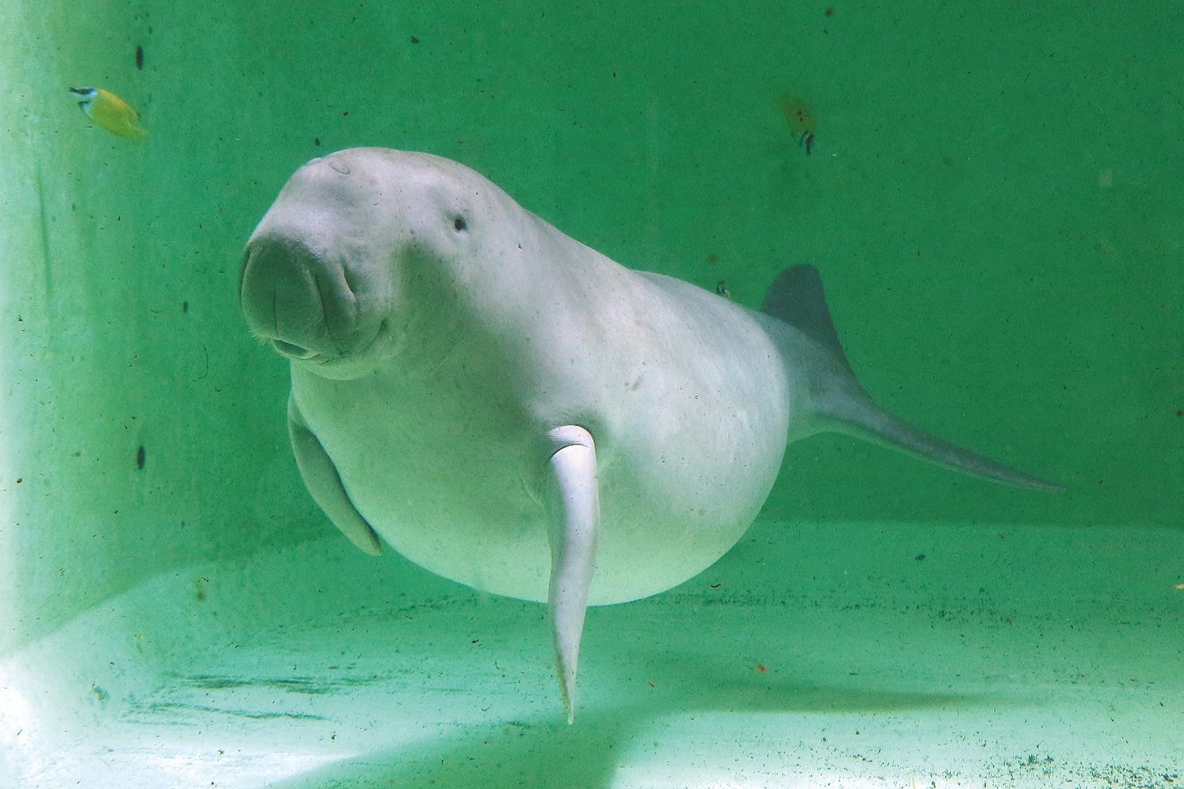 鳥羽水族館