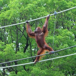多摩動物公園