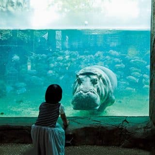 天王寺動物園