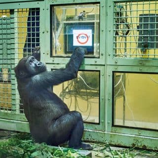 京都市動物園