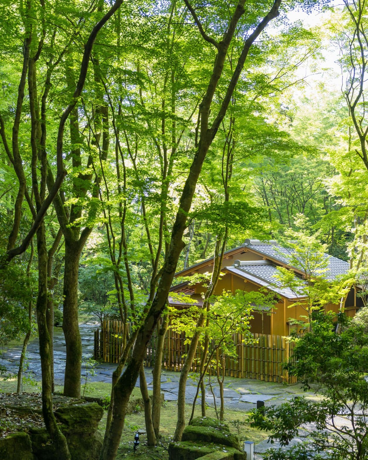 〈アマン京都〉の森の茶室で、優雅な茶会を。設計は遠山典男、施工は中村外二工務店。